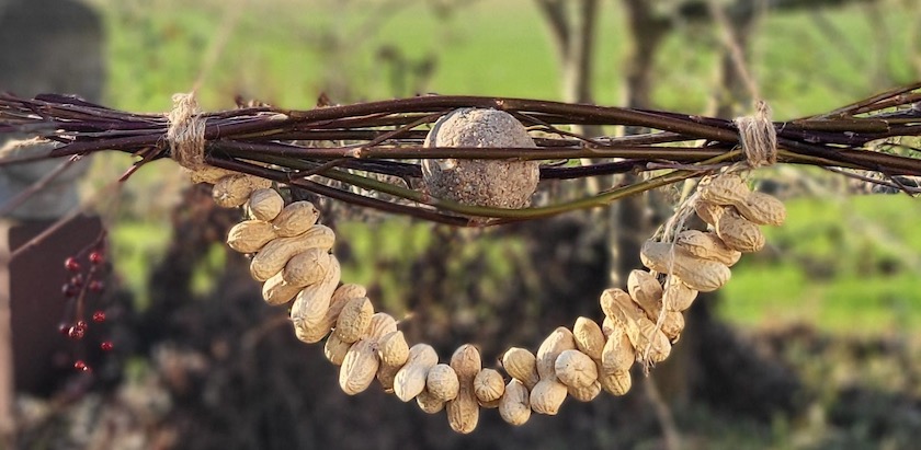 Lekkers maken voor vogels