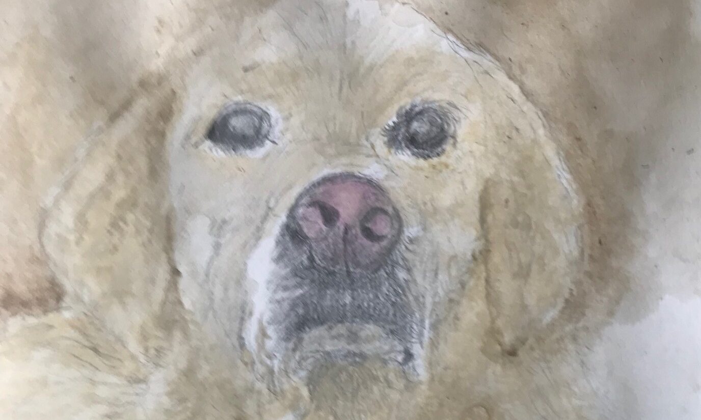 Expositie in Dorpshuis Vreeswijk