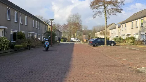 ‘De Professor Aalbersestraat’