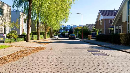 ‘De Bergfluiter’