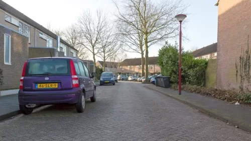 ‘De Dahliastraat’