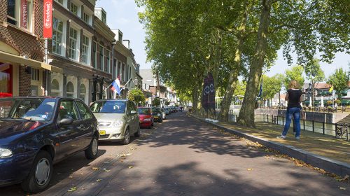 Dichter Ton de Gruijter bericht: ‘de bomen in de dorpsstraat’