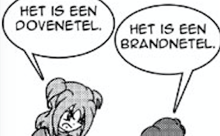 De strip van Kim Houtzager