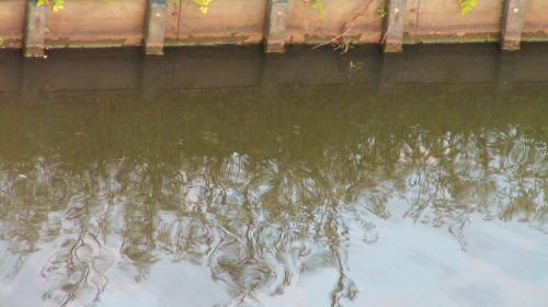 ‘Foto van de week’