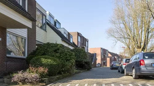 ‘De Goudpluviersingel’