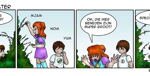 De strip van Kim Houtzager