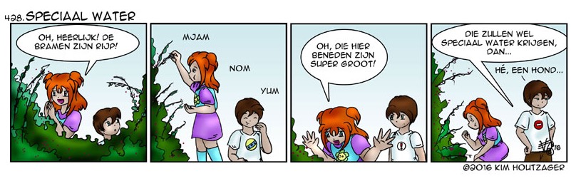 De strip van Kim Houtzager