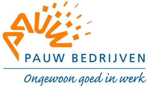 Toekomstscenario brede ondersteuning bij (on) betaald werk