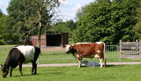 Open dag Natuurkwartier: ‘Zien, doen en beleven’