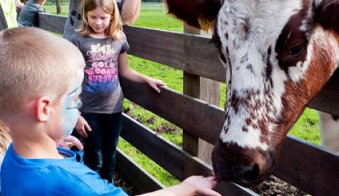 Dierendag in het Natuurkwartier