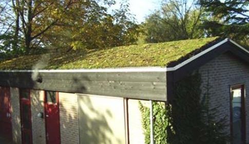 Provincie Utrecht lanceert tool voor aanleg duurzame daken