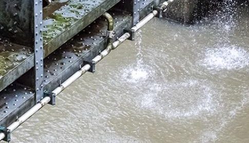 ‘Foto van de week’