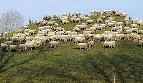 ‘Foto van de week’