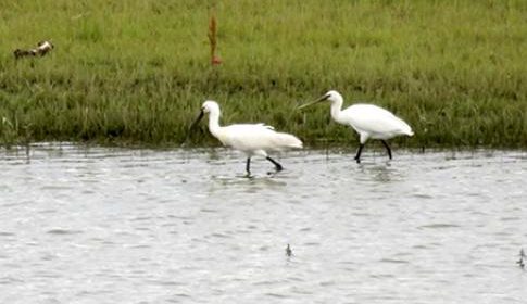 ‘Foto van de week’