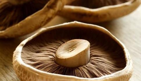 Portobello en champignons met pasta en zontomaat Italiaanse stijl.