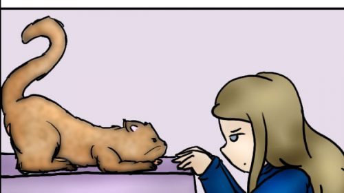 De strip van Kim Houtzager