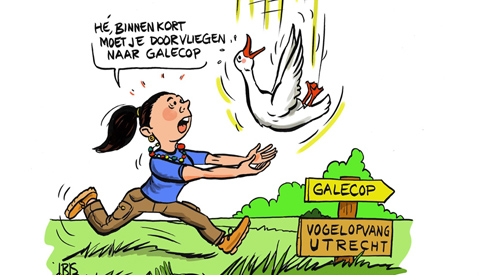 PENTekening: ‘Vogelopvang’