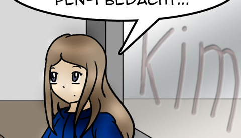 De strip van Kim Houtzager