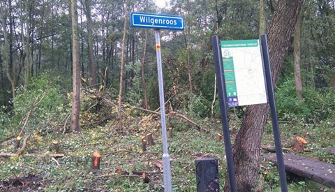 Bewoners rond de Stokroos verbaasd over de kaalslag