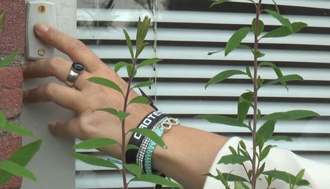 Ik woon in de wijk Fokkesteeg Noord en wel hierom