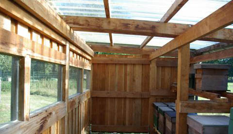 Studenten bouwen bijenkorf