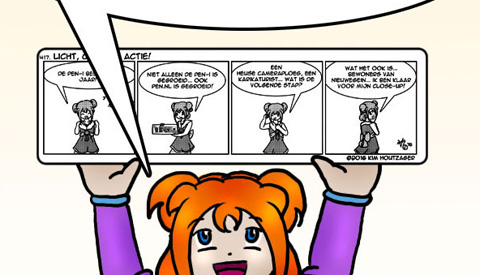 De strip van Kim Houtzager