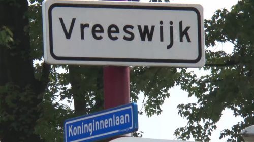 Nieuwegeinlezing Naamgeving in Vreeswijk