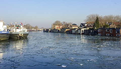‘Foto van de week’ van Ingrid van Tellingen
