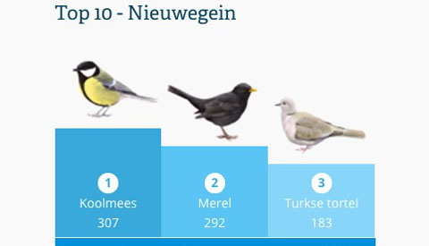Koolmees in Nieuwegein op plek een tijdens Nationale Vogeltelling