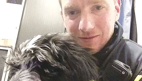 Gechipte loslopende hond snel terug naar baasje