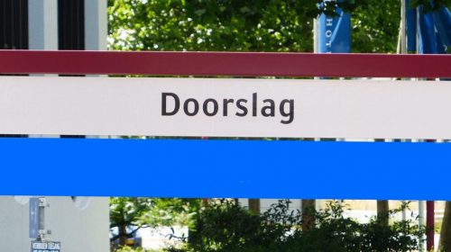 Boom breekt af en valt op weg in de Doorslag