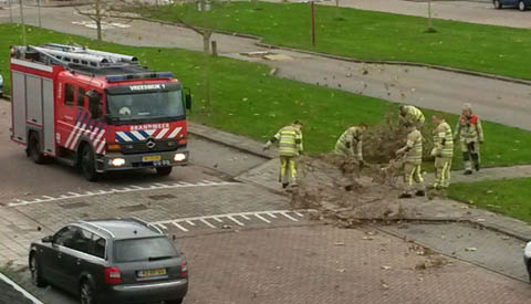 Weinig schade in Nieuwegein door februaristorm