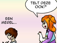 De strip van Kim Houtzager