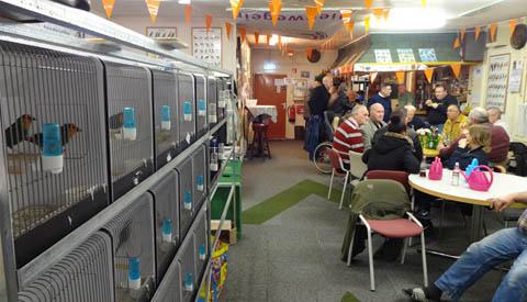 Vogeltjesmarkt bij ‘Vogelvriend Nieuwegein’