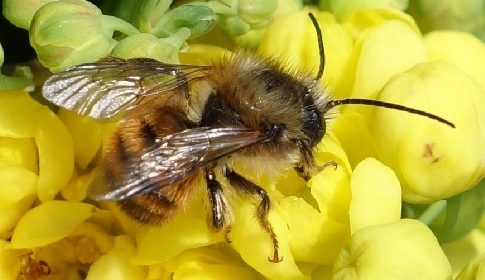 ‘Wat groeit of leeft daar in Nieuwegein’