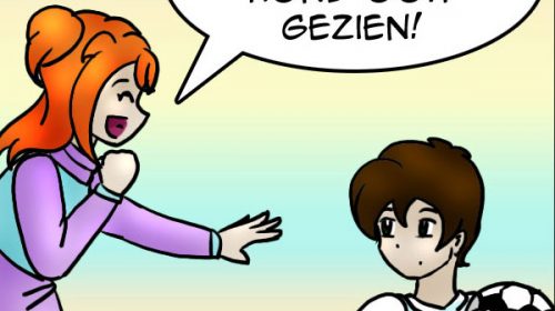De strip van Kim Houtzager