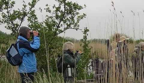 Avond-Excursie Vogels in de Zouweboezem Lexmond