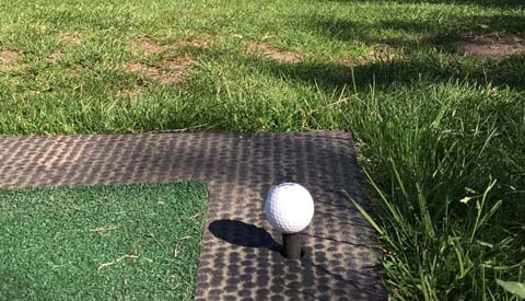 Stuur je tropische foto op naar onze redactie