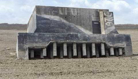 ‘Foto van de week’