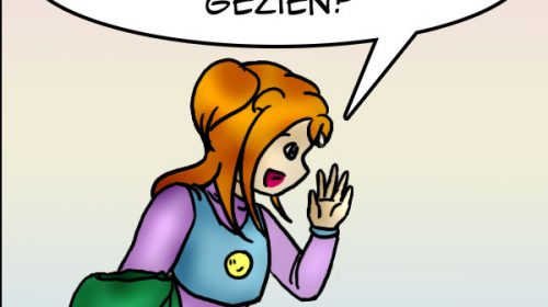 ‘De strip van Kim Houtzager’
