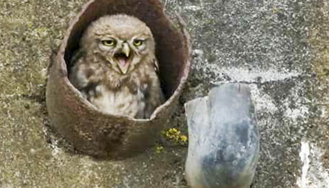 ‘Foto van de Week’