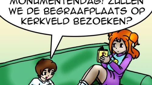 ‘De strip van Kim Houtzager’