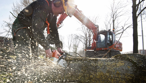 Bomen kappen om de omgeving veilig en gezond te houden