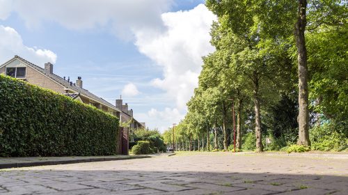 ‘De Prof. Dr. Hesselaan’