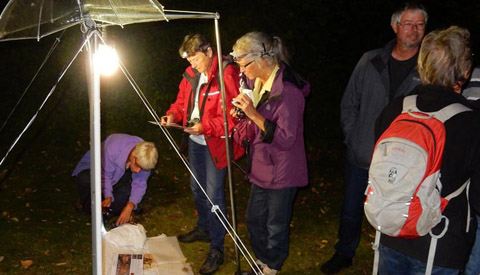 Stropers in het Natuurkwartier