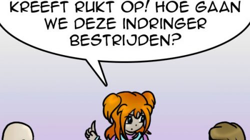 ‘De strip van Kim Houtzager’