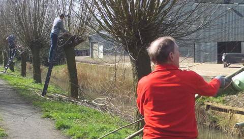Snoeigroep Galecop kan hulp goed gebruiken