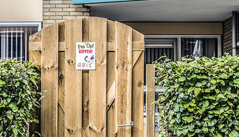 ‘Foto van de week’