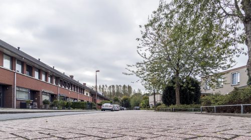 ‘De Meindert Hobbemahage’