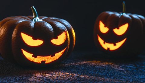 Griezellab in de bieb